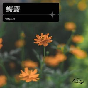 夏日倾情 (Live)封面
