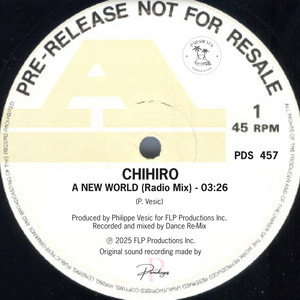 A New World (Radio Mix - 33 Rpm Master)