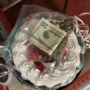 Gators & Sharks (Explicit)