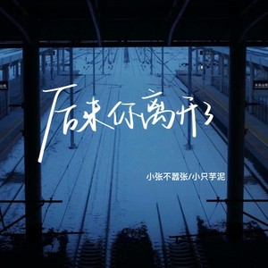 后来你离开了