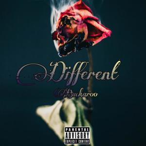 Different (Explicit)