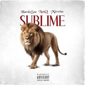 Sublime (feat. NeeQ & Micwise) (Explicit)