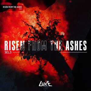 Risen From The Ashes (Slowed)