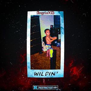 Wildin’ (Explicit)