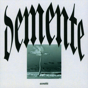 Demente (Acoustic Version)