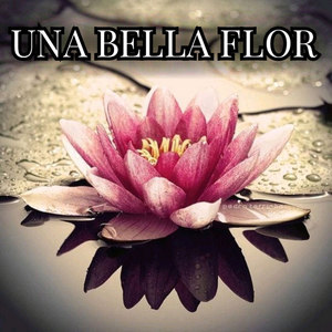 Una Bella Flor