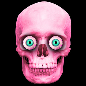 Muddyloop - Take a Trip