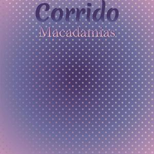 Corrido Macadamias