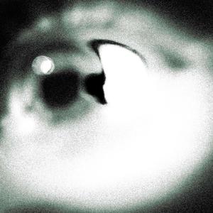 Crazy! (feat. vcn* & Taylr!) (Explicit)