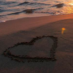 FOR YOUR LOVE (Explicit)