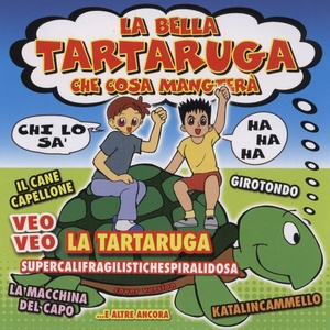 La Bella Tartaruga Che Cosa Mangtera