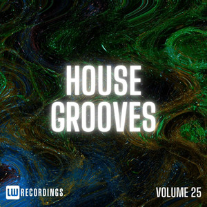 House Grooves, Vol. 25