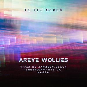 AREYE WOLLIES (feat. Black Ghost, Viper De Jayzeey & Lavante Da Kabza) (Explicit)