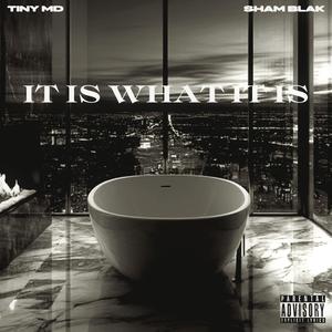 It Is What It Is (feat. Sham Blak) (Explicit)