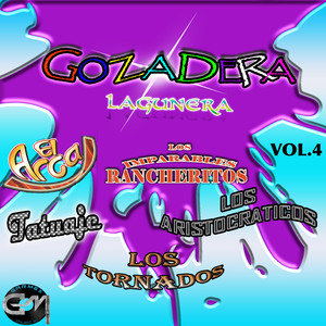 Gozadera Lagunera Vol.4