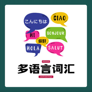 多语言词汇vol.001|bonjour“你好,早上好”