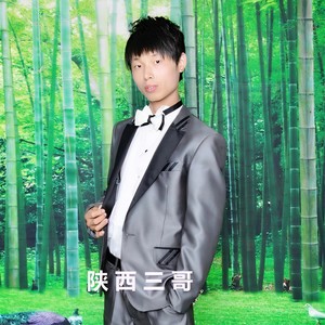 陕西三哥 (Inst.)