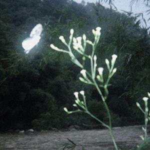 murder (feat. blood estate)