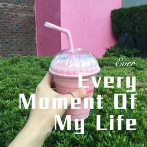 Every Moment Of My Life (Remix)