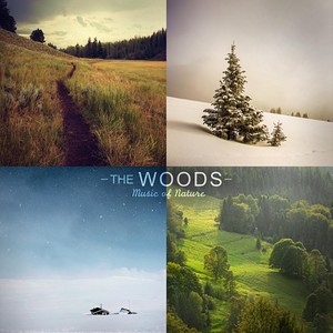 The Woods (Nature Sounds, Birds, Rain, Thunderstorm, Brook, Forest, Ocean Waves, Crickets, Peaceful, Lullaby, Sleep, Sleeping, Sound Effects, Royalty Free Sfx)