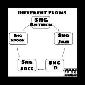 Different Flows (SNG ANTHEM) [Explicit]