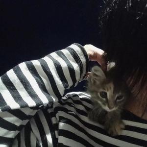 switched up (feat. xtsy*) (Explicit)