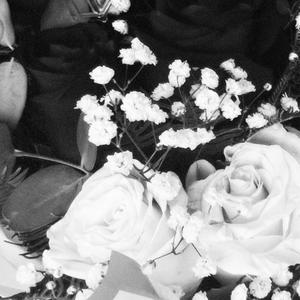 sei tu (flores y tu pelo)