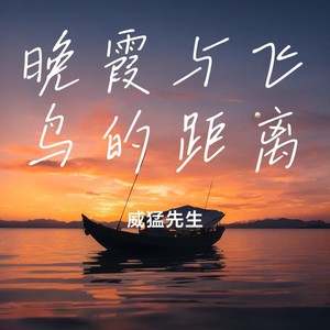 晚霞与飞鸟的距离