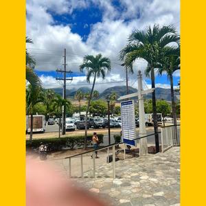 COKE PAINTED VETTE (Explicit)