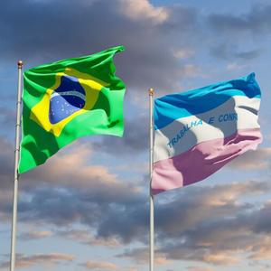 ELA É SOLTEIRA LIGHT