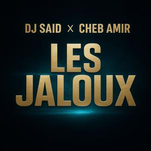Les jaloux (feat. Amir) (Radio Edit)