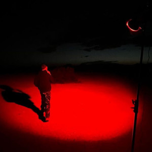 Heart In Chess (Explicit)