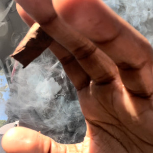 Fullys (Explicit)