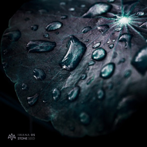 Small Beginnings (Rainbird Remix)