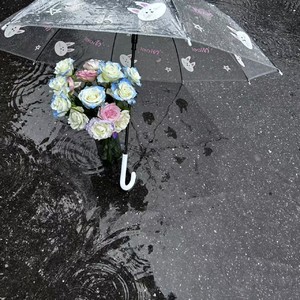 你像一场大雨 淋湿我的眼睛