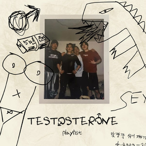 테스토스테론 플레이리스트 (Testosterone Playlist)