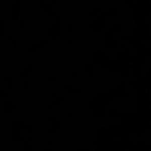 Buss verbal (Explicit)