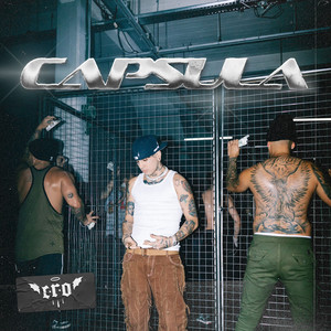 Te Gustó (Explicit)