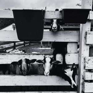 Born on Halloween (Explicit)