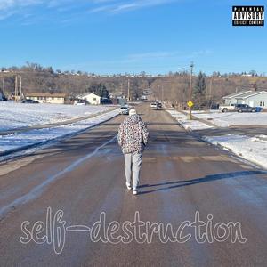 self destruction (Explicit)