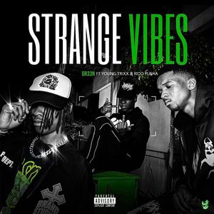 STRANGE VIBES (feat. YUNG TRIXX & KIDD PUSHA) [Explicit]