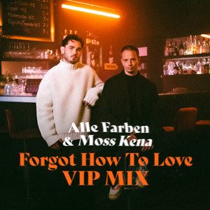 Forgot How to Love (Extended|VIP Mix)
