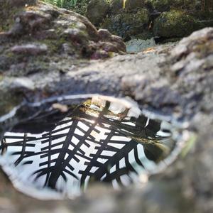 work on it (freestyle) (Explicit)