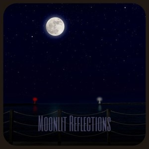 Moonlit Reflections