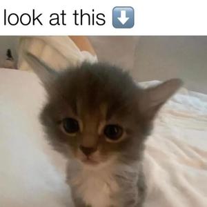 Get This On (feat. 7000) (Explicit)