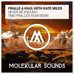 Never Be Enough (Timo Pralle's Fear Extended Mix)