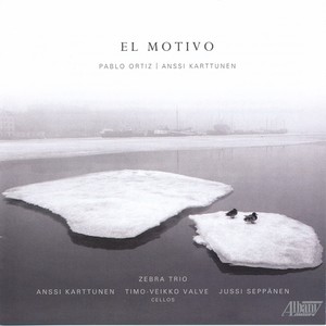 Chamber Music - ORTIZ, P. / VILLOLDO, A. / AROLAS, E. (El Motivo) (Zebra Trio)