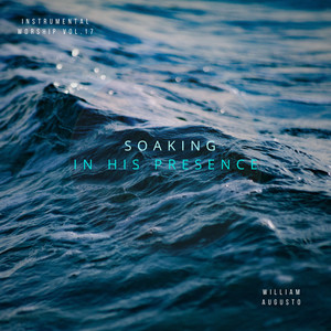 Soaking In His Presence, Vol. 17