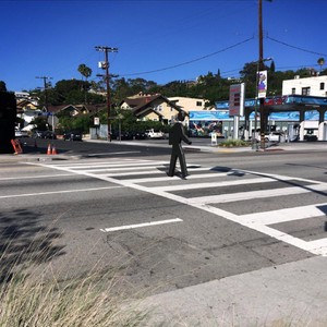 This Love, This Life