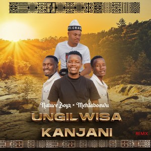 Ungilwisa kanjani (Remix)